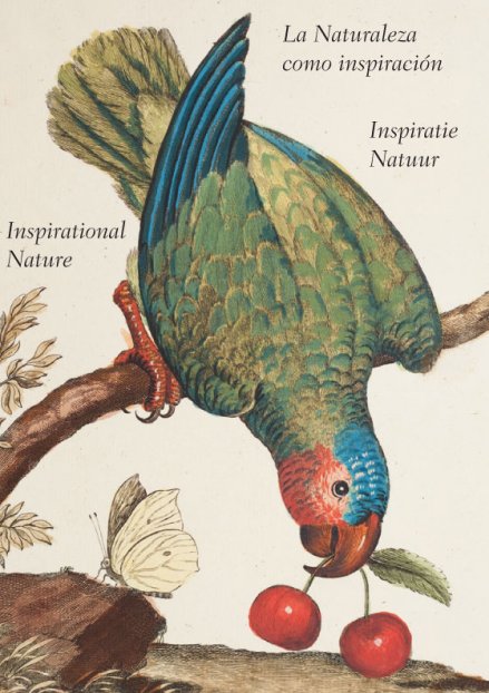 La Naturaleza como inspiración. Dibujos y grabados de la colección Van Berkhey (eBook)
